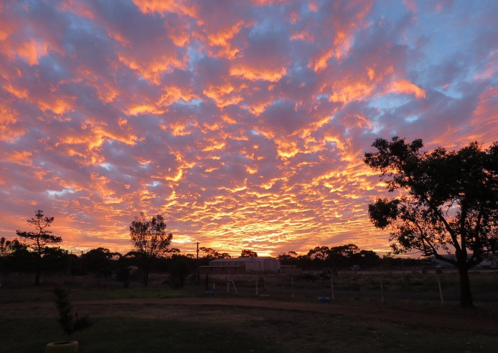 Katanning Fly2 Health